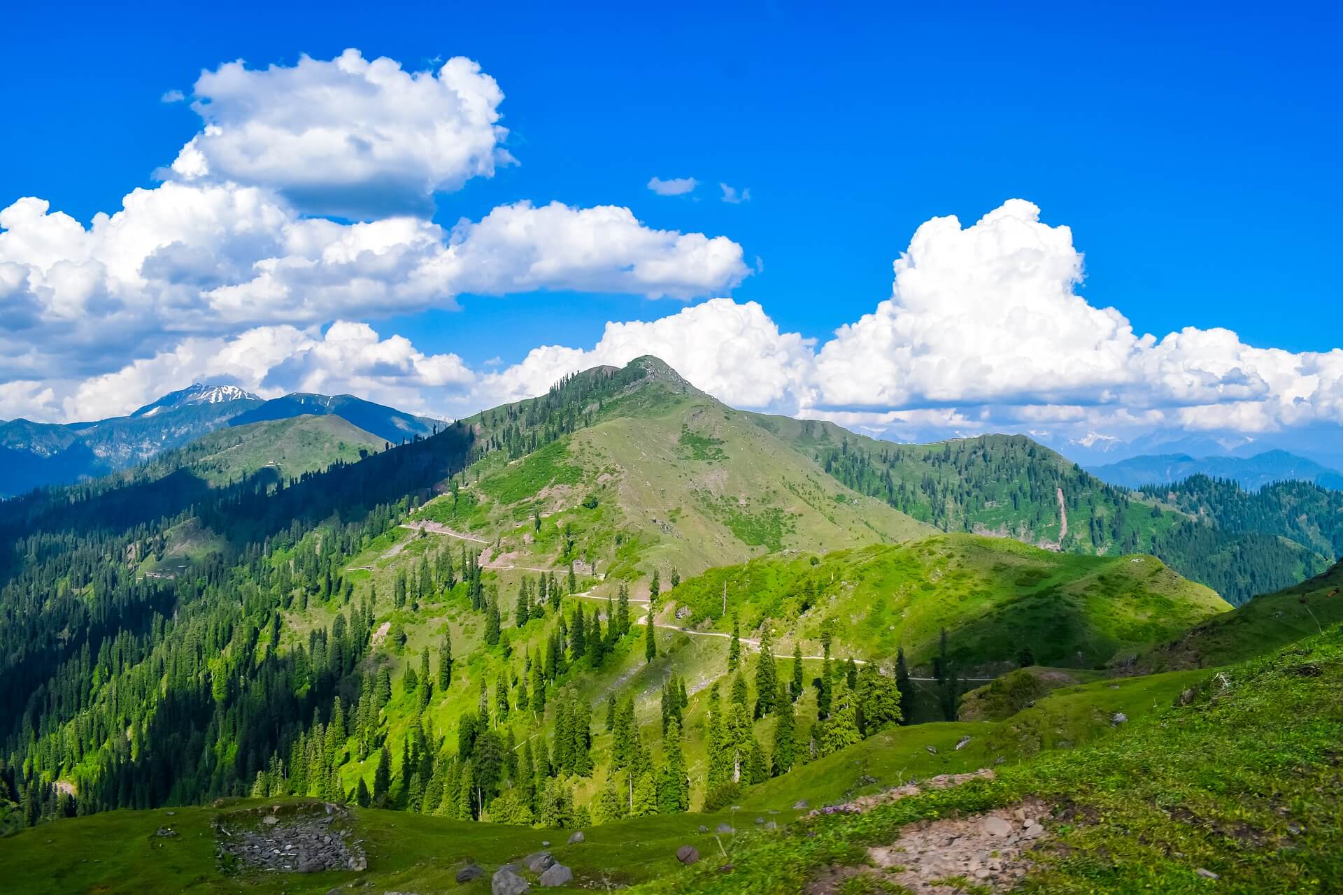 tours and travels in kashmir
